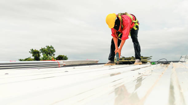 Best Roof Insulation Installation  in Lost Hills, CA